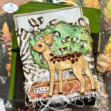 Load image into Gallery viewer, ECD Stamp Set Woodland Critters- CS243
