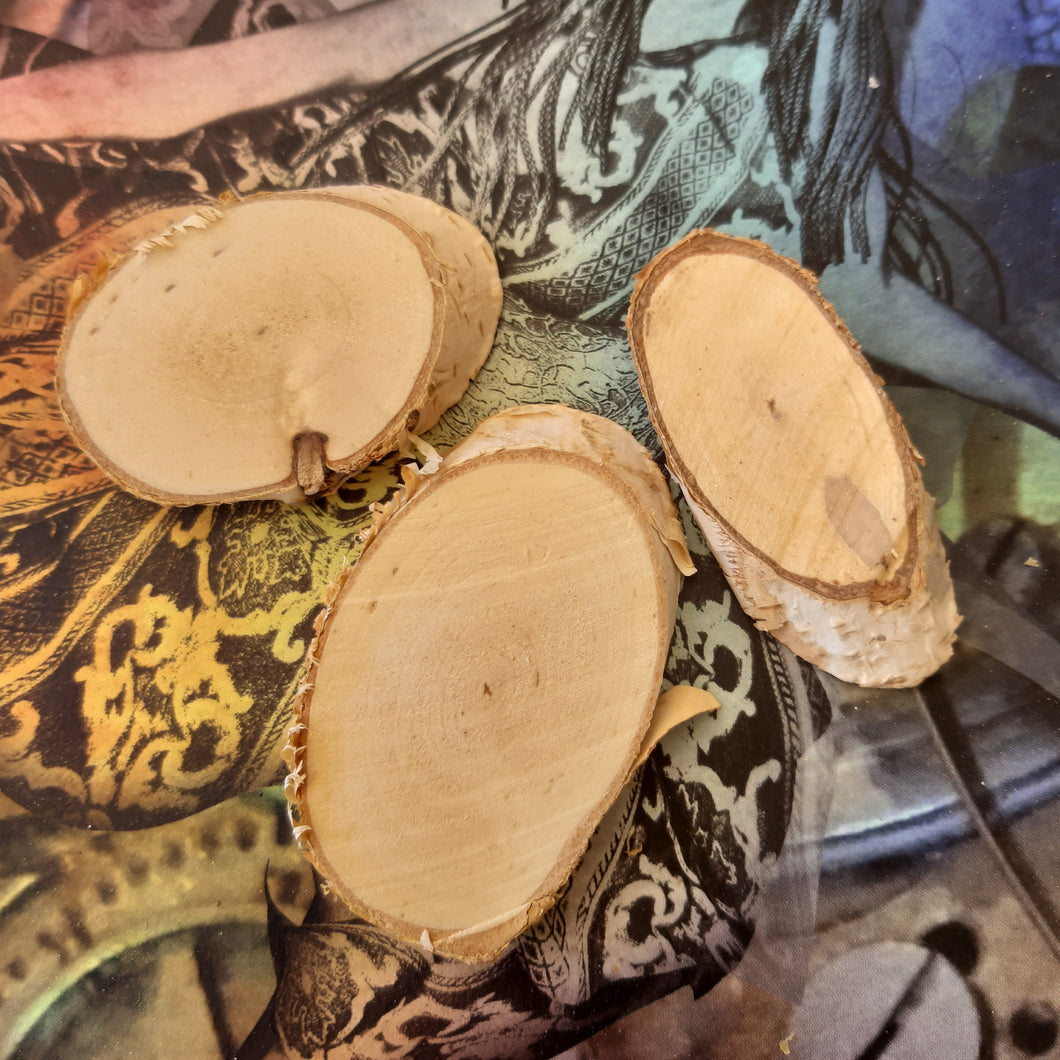 ShokART Set of 3 Natural Wood Slices
