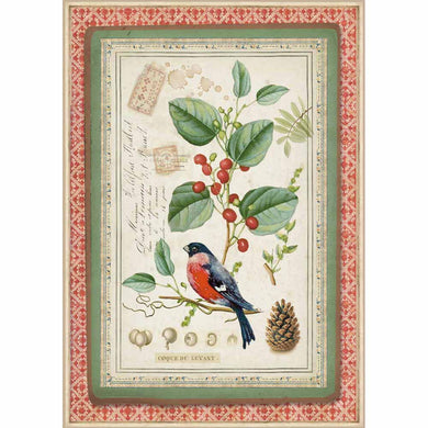 NEW Stamperia A4 Decoupage Rice Paper - Winter Botanic Little Bird DFSA4326 - DaliART