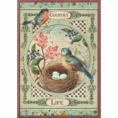 NEW Stamperia A4 Decoupage Rice Paper - Country Life Birds DFSA4352 - DaliART